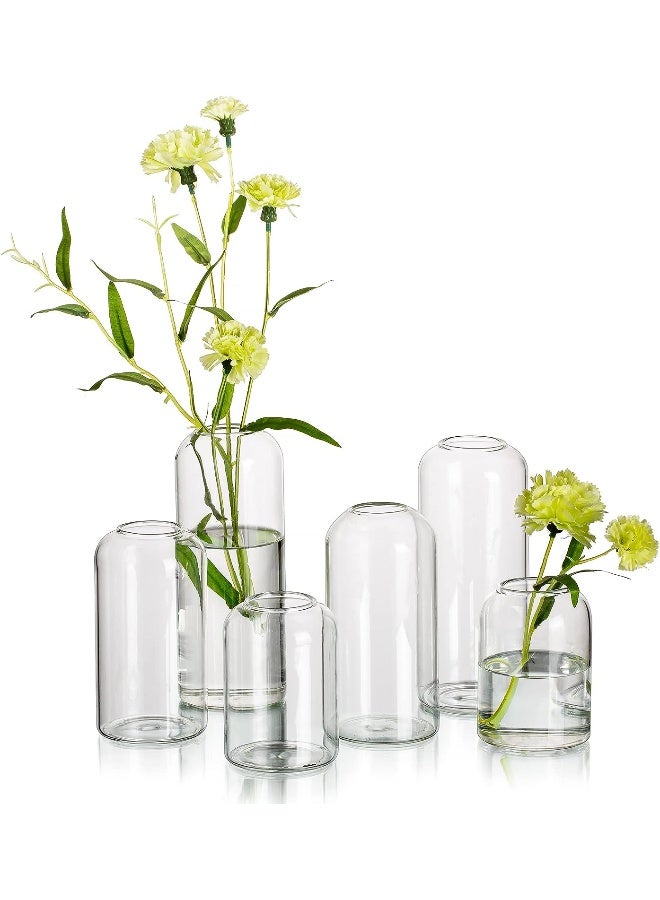 Glass Clear Modern Vase, Set Of 6 - Small Bud Vases For Flowers, Elegant Home Decor Floral Arrangements, Wedding Party Events Centerpieces