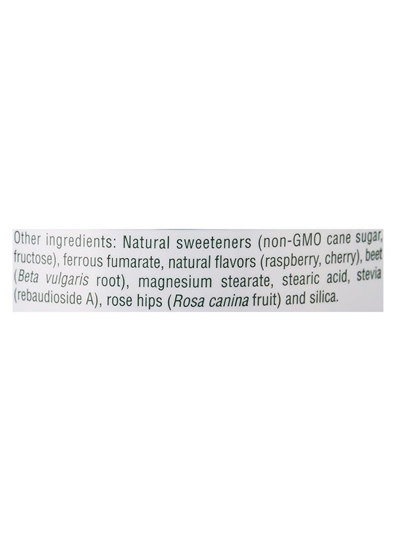Chewable Iron With Vitamin C & Herbs Dietary Supplement Cherry Flavor Energy Support 90 Tablets