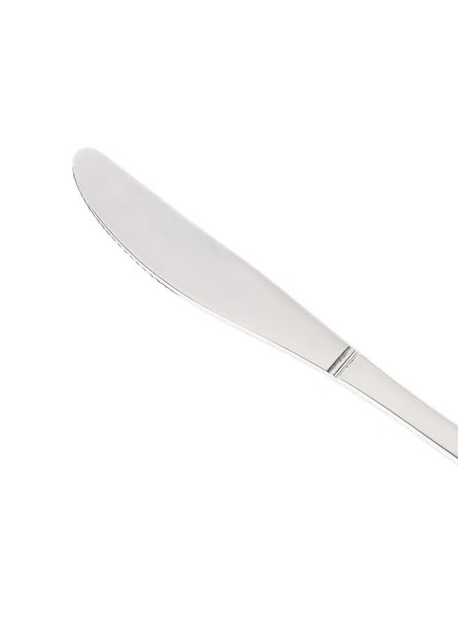 6-Pieces Stainless Steel Table Knife- DC2866 Dishwasher safe