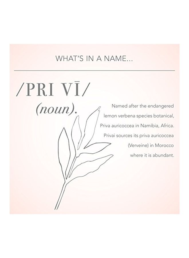 Antioxidant Repair Serum 50ml