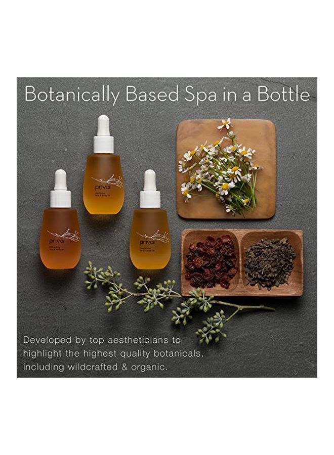 Antioxidant Repair Serum 50ml