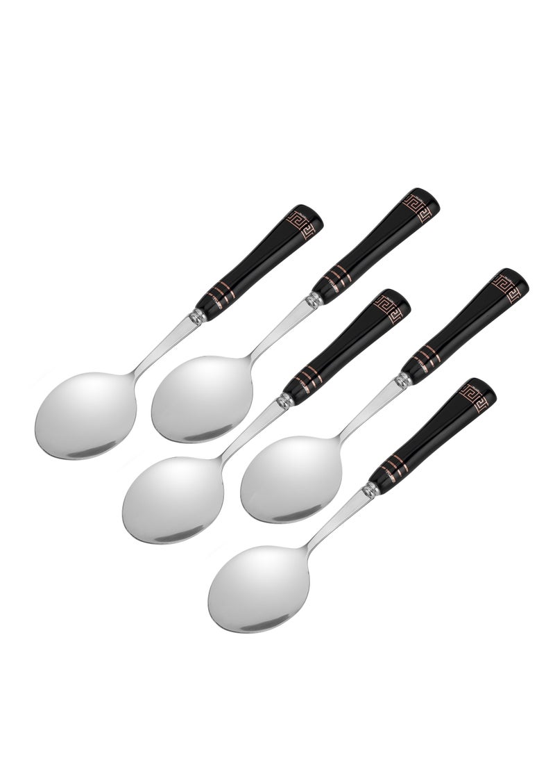 Delcasa Tea Spoon DC2978 Pack of 5, Stylish Finish