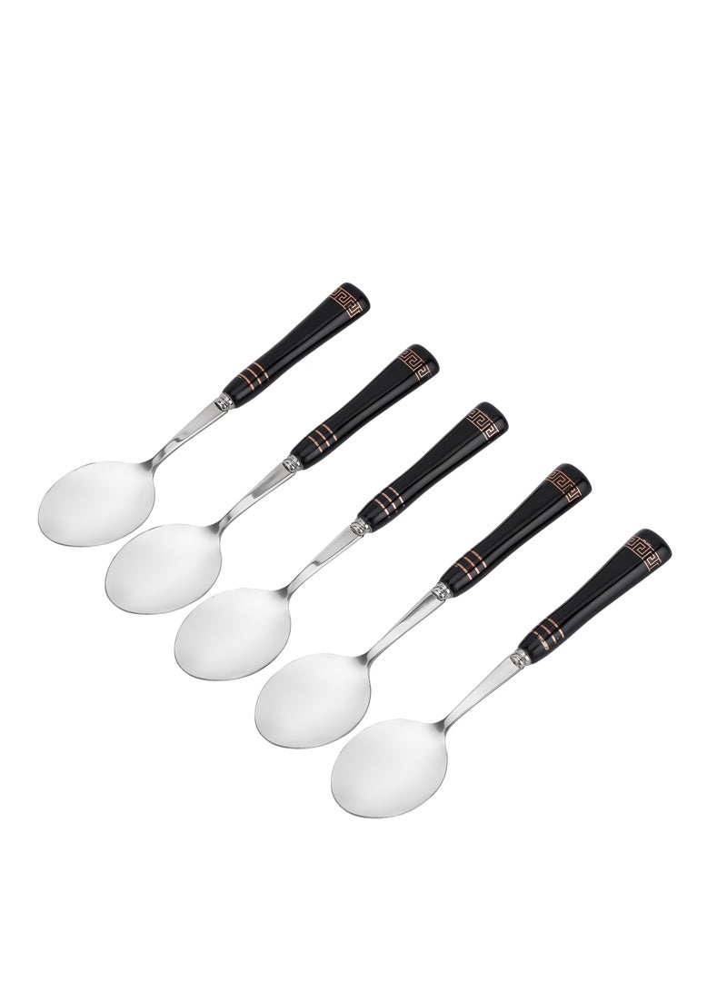 Delcasa Tea Spoon DC2978 Pack of 5, Stylish Finish