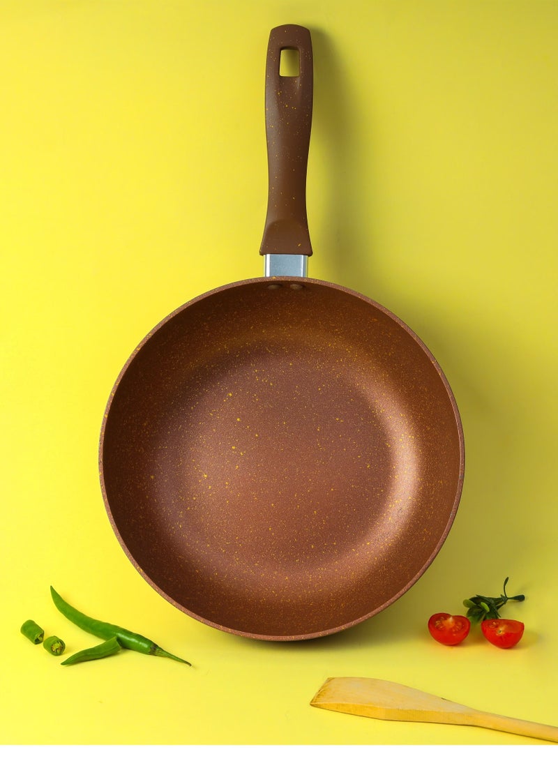 DelCasa Wok Pan 26cm Pan with Soft Touch Bakelite Handle DC2216