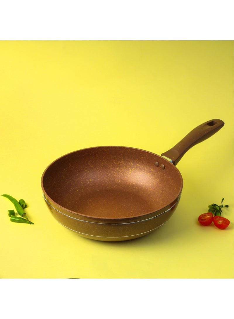 DelCasa Wok Pan 26cm Pan with Soft Touch Bakelite Handle DC2216