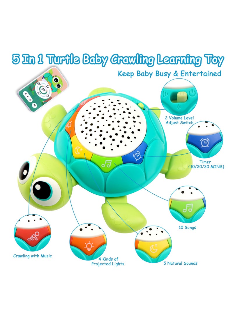 5 in 1 Musical Projector Baby Crawling Toys, Turtle Toys, Early Learning Educational Toy Starlight, Tummy Time Infant Baby Toys 0-3 3-6 7 8 9 12-18 Months 1 Year Old Boy Toys Girl Toys Birthday Gift