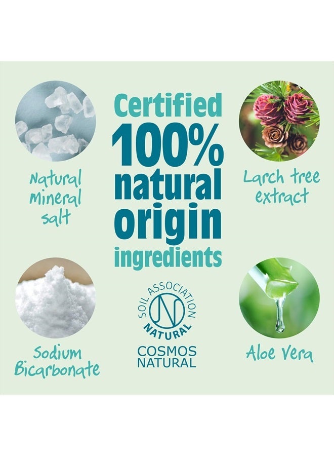 The Healthy Option Crystal Spring Salt Of The Earth Deodorant.