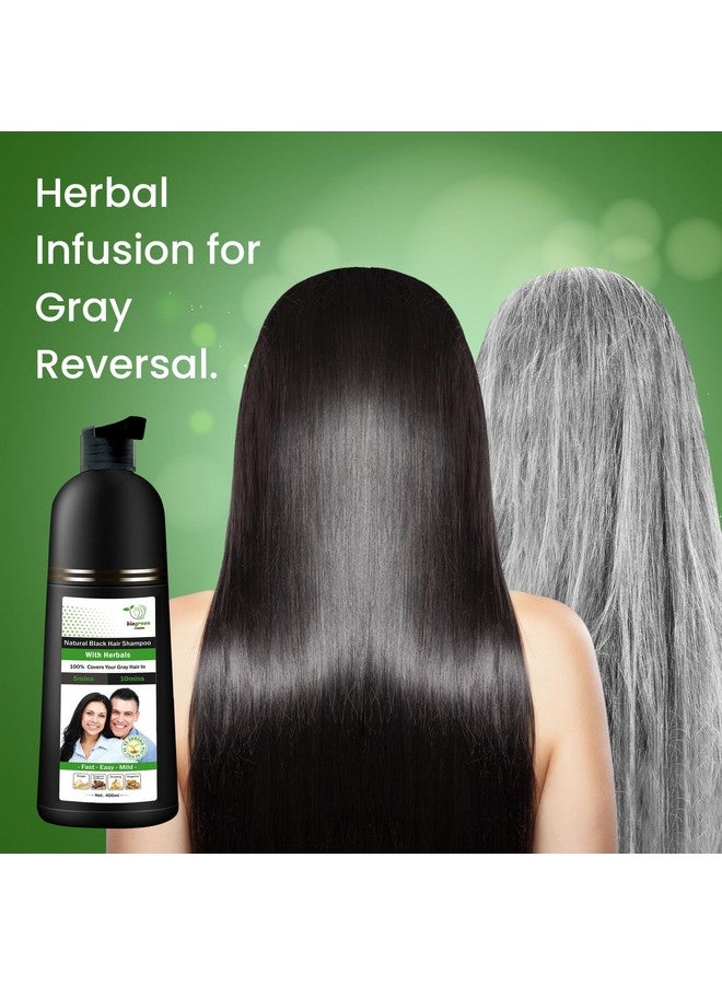 Herbal Natural Black Hair Color Shampoo (400Ml) With 200Ml Hair Treatment For Grey Hair Coverage In 10 Minutes Hair Coloring For Men Women All Hair Types Natural Black Hair Dye