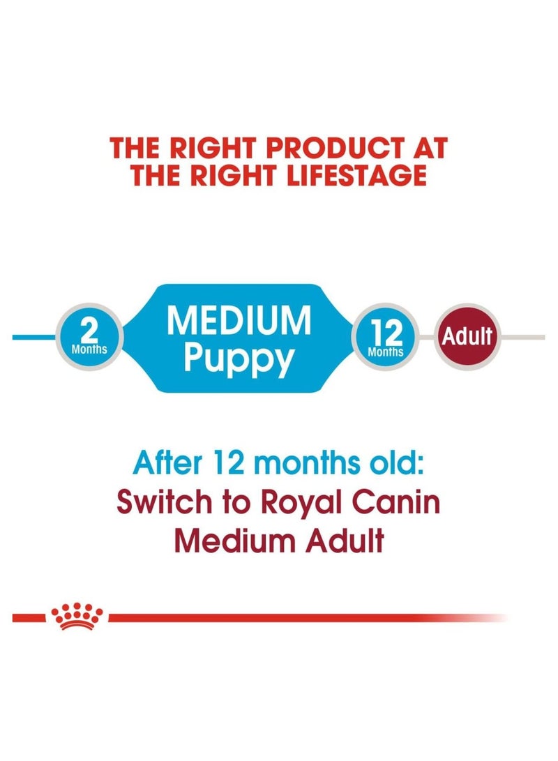 Medium Puppy Dry Food 1kg