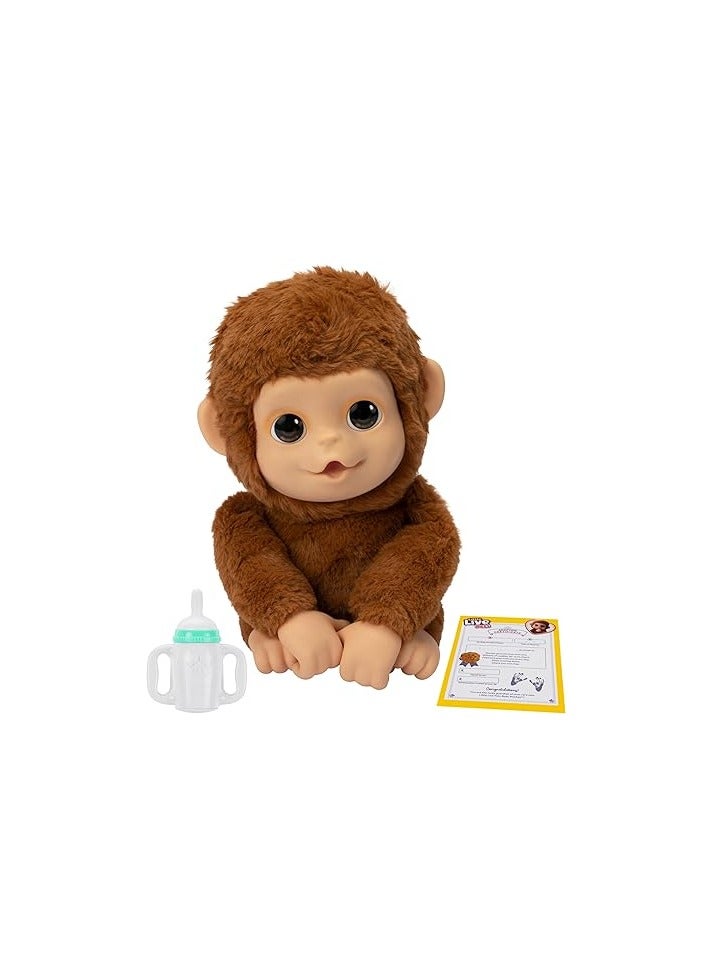 My Baby Monkey - Adorable pet monkey with over 50 sounds & reactions. Expressive moving mouth. Mango his thumb, feeds from his bottle, & hangs from his hands & feet!