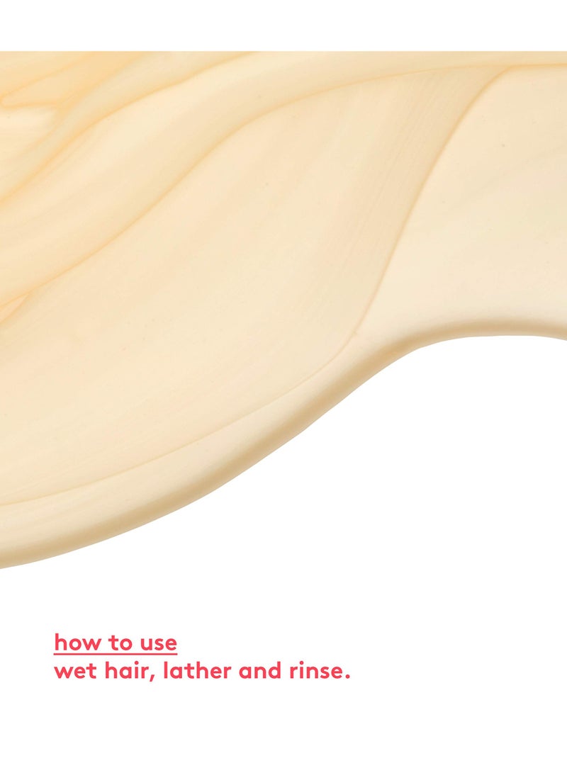 Evo-ritual salvation shampoo 300ml