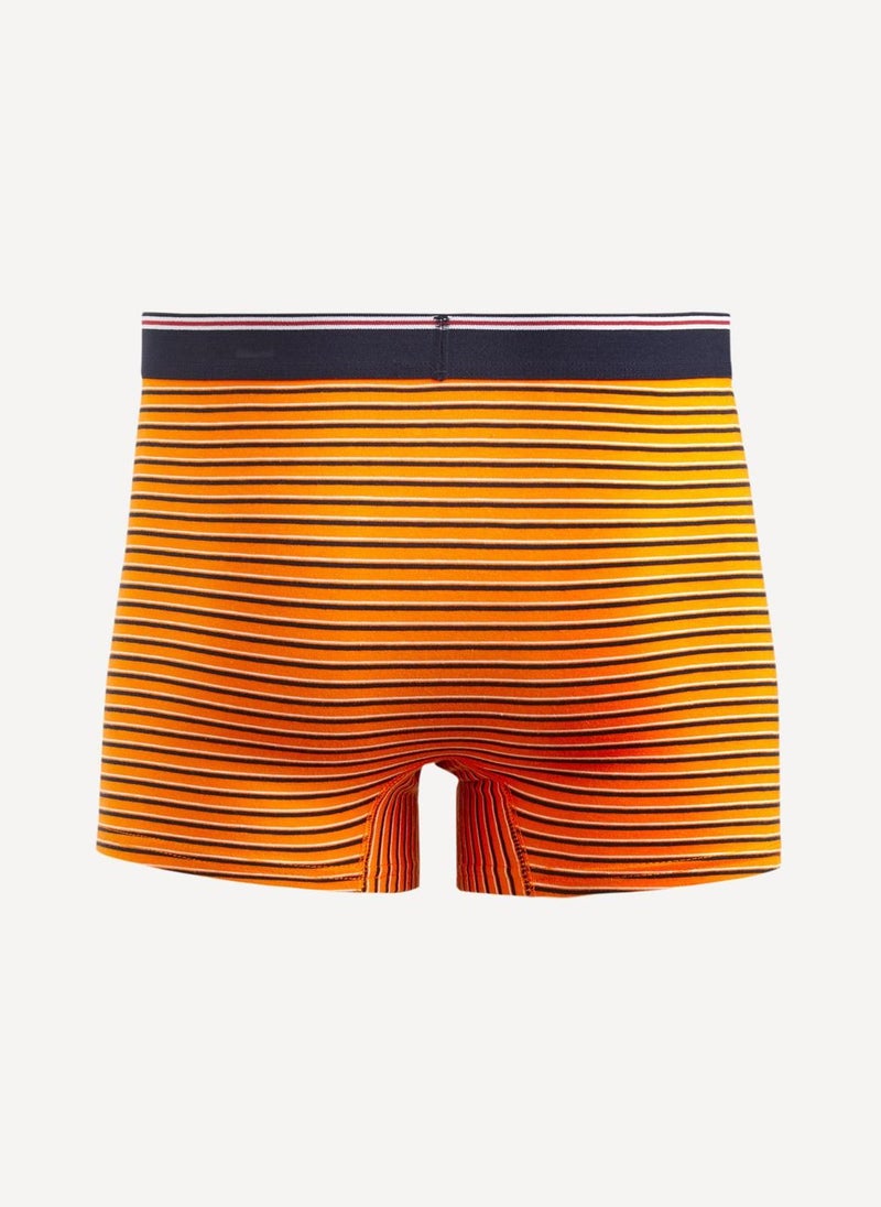 Striped Trunks