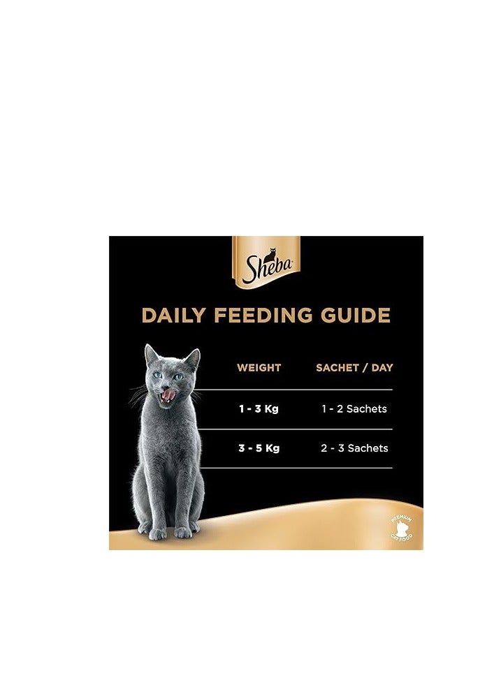 Sheba Cat-Food, Melty Chicken Flavor Creamy Treats Premium Luxurious Indulgence, Fed by Hand for Special Moments so Your Cat Can Find Relish with this Treat, Pack of 48x12g