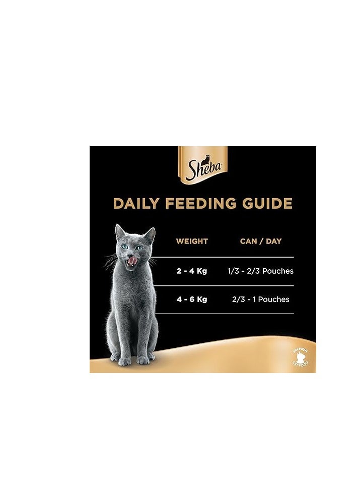 Sheba Premium Loaf Chicken with Tuna Cat Food, Essential Vitamins and Minerals, this Sheba Wet Food is Made with Loaf Formula for Easier Chewing Even for Sensitive Cats, Pack of 12x70g