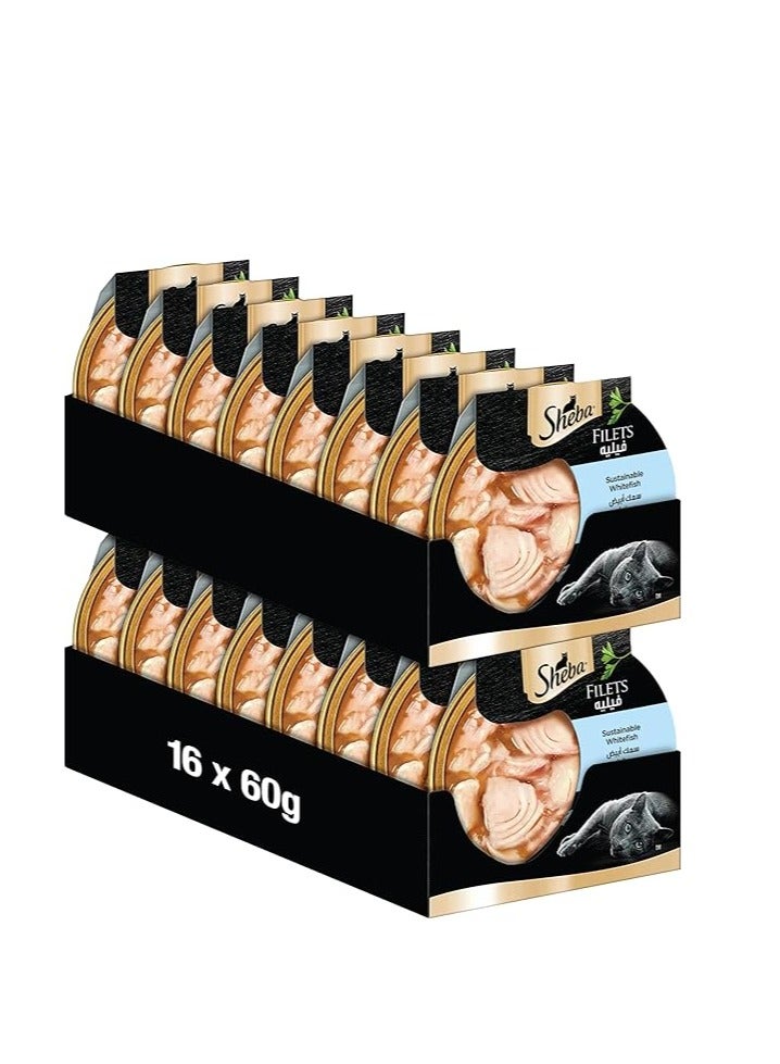 Sheba Cat Food Sustainable White Fish Filets, this Exquisite Wet-Food is made for Reliable Smooth Consumption & Enriched with the Necessary Nutritional Requirements Your Cats, Pack of 16x60g