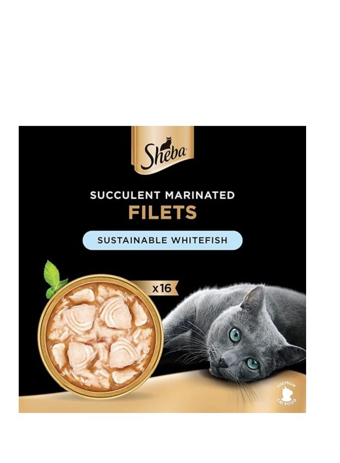 Sheba Cat Food Sustainable White Fish Filets, this Exquisite Wet-Food is made for Reliable Smooth Consumption & Enriched with the Necessary Nutritional Requirements Your Cats, Pack of 16x60g