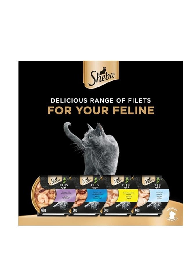 Sheba Cat Food Sustainable White Fish Filets, this Exquisite Wet-Food is made for Reliable Smooth Consumption & Enriched with the Necessary Nutritional Requirements Your Cats, Pack of 16x60g