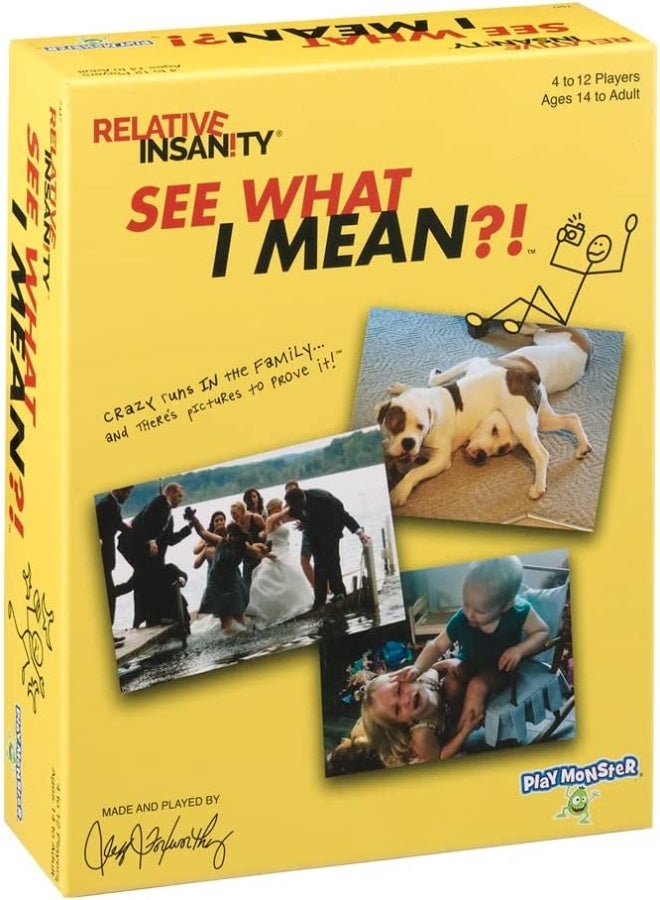 PlayMonster Relative Insanity: See What I Mean?! - Party Game with Funny Photos You Caption with Jeff Foxworthy Humor!