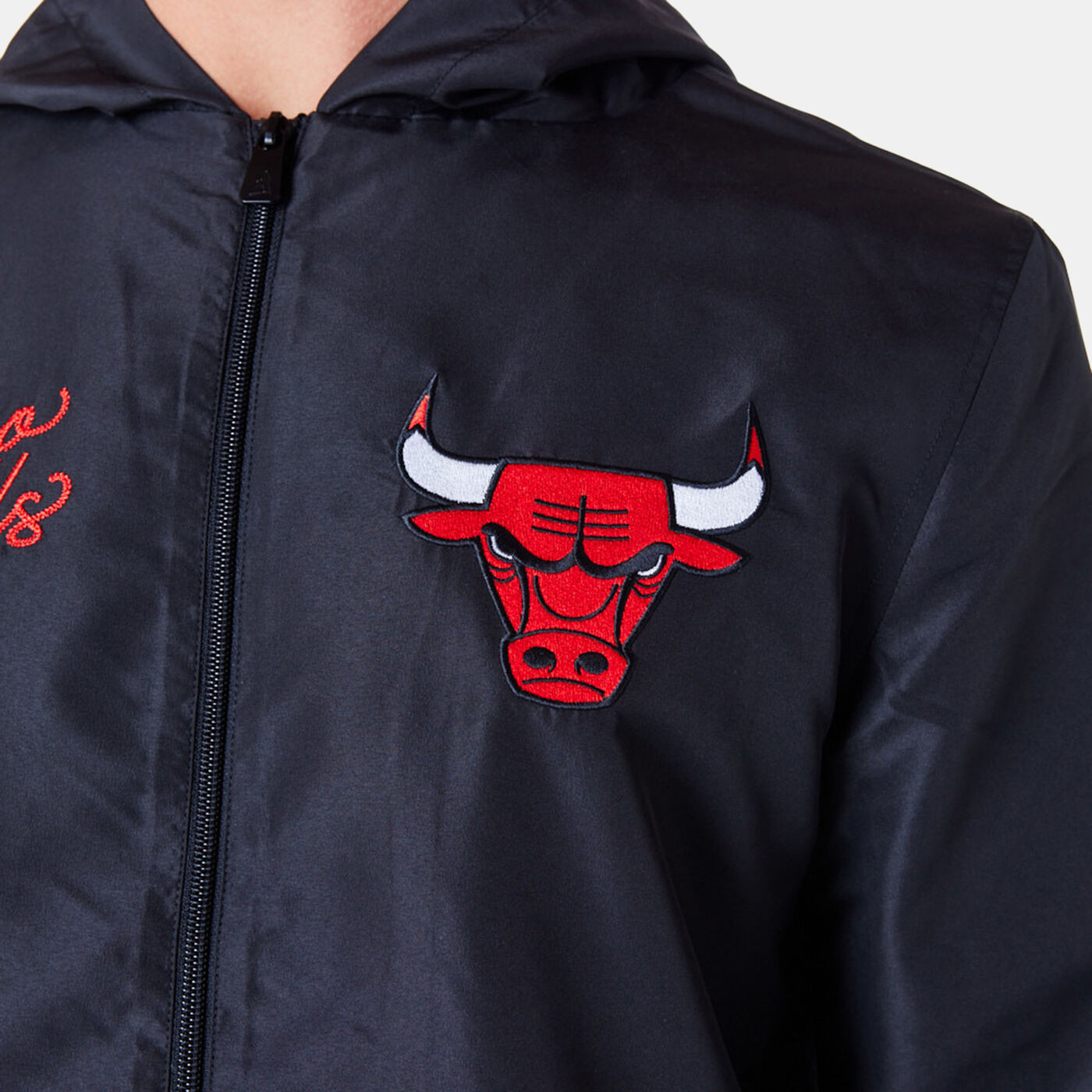 Men's NBA Chicago Bulls Graphic Full-Zip Hoodie
