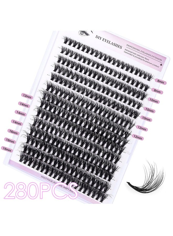 False Eyelashes Set, Eyelash Clusters Eyelash Extensions, DIY Eyelash Individual Lashes Cluster Lashes Natural Look Effect Black Individual False Eyelashes with Eyelash Glue