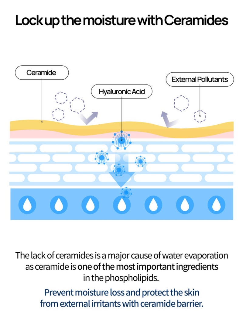 Waterfull Hyaluronic Toner 250ml | Hydrating and Refreshing Toner with Hyaluronic Acid for Balanced, Radiant Skin