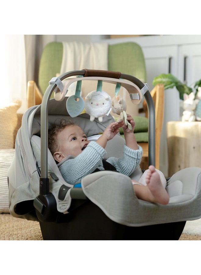 Soothing Essentials Wood Carrier Toy Bar, Montesorri-Inspired, 3 Removable Toys, 0 - 12 Months