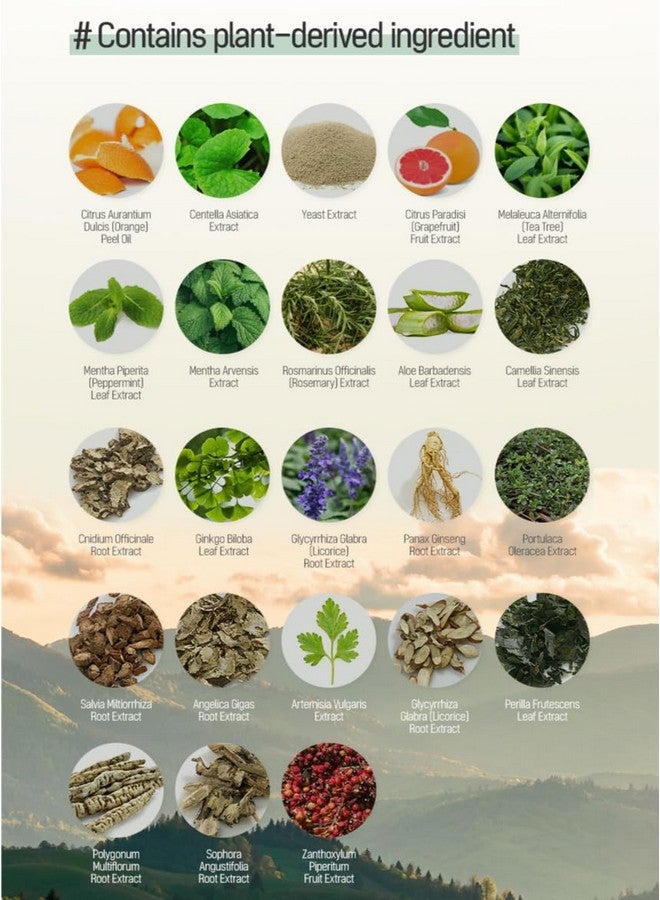 Ts Shampoo Plus 500Ml (16.9Oz) Contains Biotin+Pantenol+Caffein For Fuller Healthy Hair And Scalp Provides Vital Elements For Hair. No Sulfate No Artificial Fragnace Or Color.