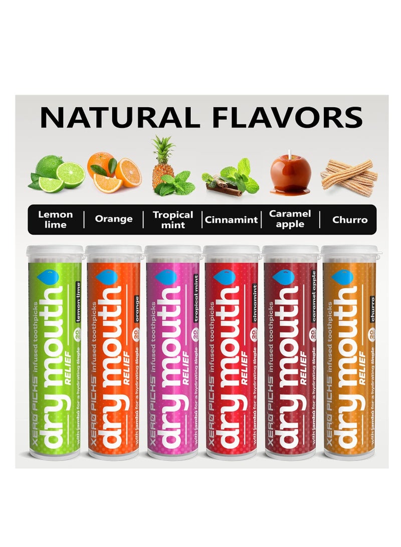 Xero Picks Dry Mouth - Infused Flavored Toothpicks for Long Lasting Fresh Breath & Dry Mouth Prevention (Variety 6 Pack)