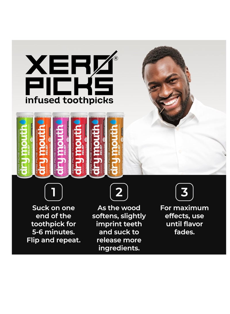 Xero Picks Dry Mouth - Infused Flavored Toothpicks for Long Lasting Fresh Breath & Dry Mouth Prevention (Variety 6 Pack)