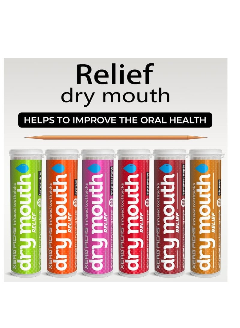 Xero Picks Dry Mouth - Infused Flavored Toothpicks for Long Lasting Fresh Breath & Dry Mouth Prevention (Variety 6 Pack)