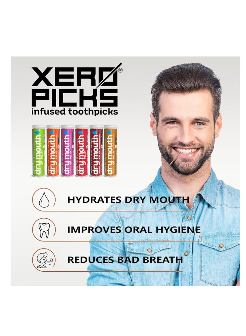 Xero Picks Dry Mouth - Infused Flavored Toothpicks for Long Lasting Fresh Breath & Dry Mouth Prevention (Variety 6 Pack)