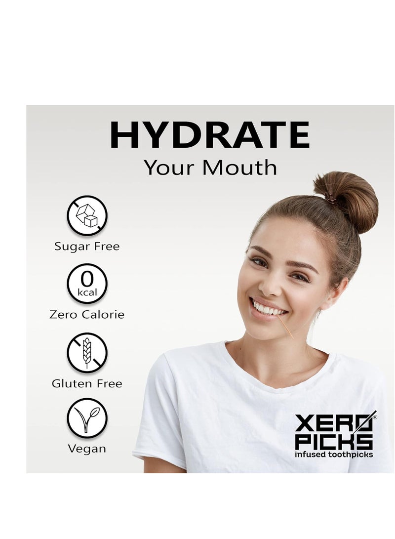 Xero Picks Dry Mouth - Infused Flavored Toothpicks for Long Lasting Fresh Breath & Dry Mouth Prevention (Variety 6 Pack)