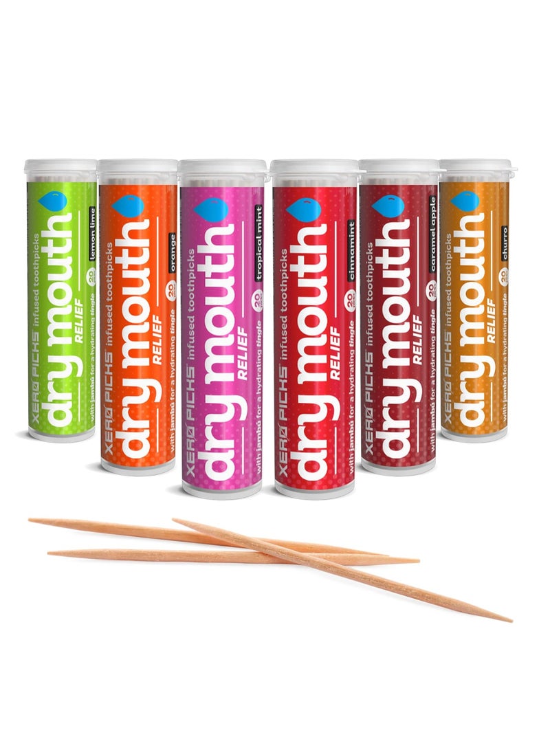 Xero Picks Dry Mouth - Infused Flavored Toothpicks for Long Lasting Fresh Breath & Dry Mouth Prevention (Variety 6 Pack)