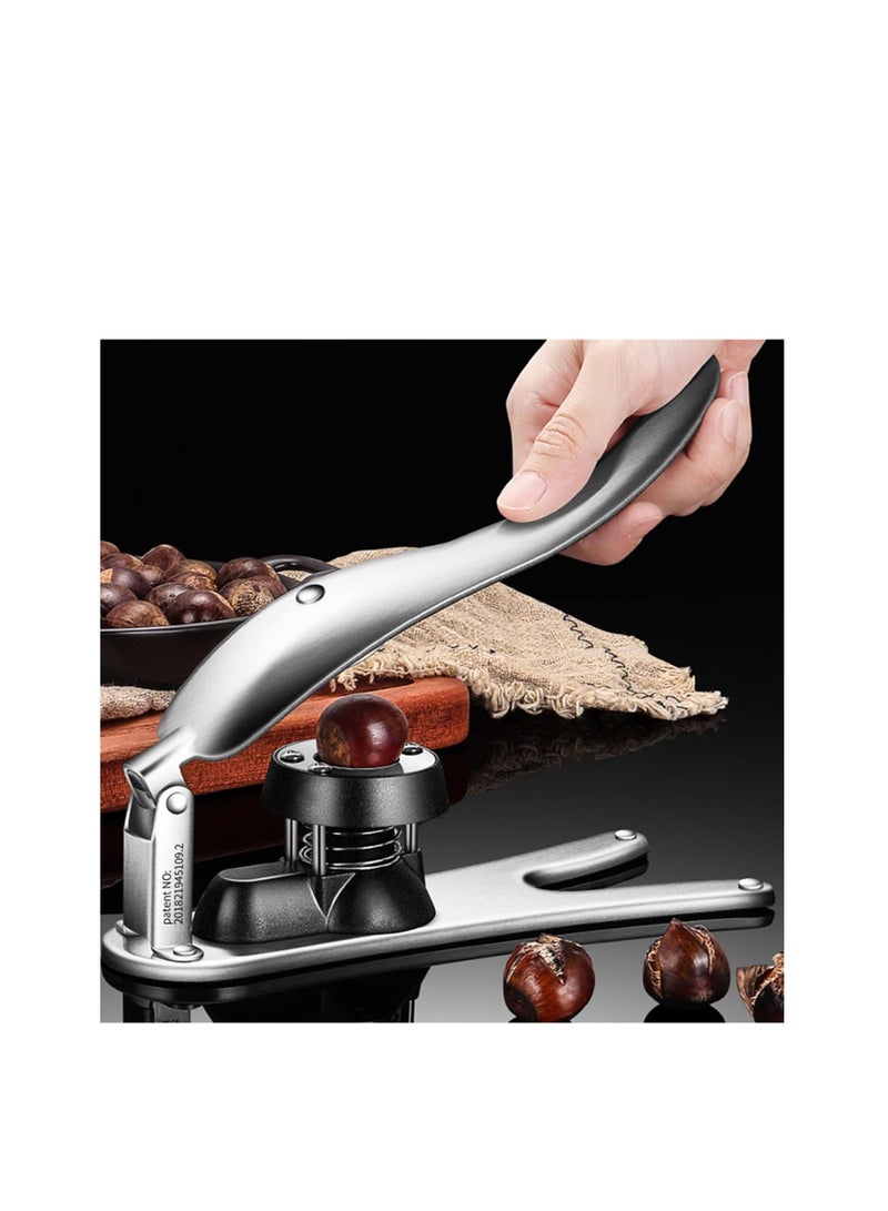 Versatile Stainless Steel Nut Cracker and Chestnut Cutter for Walnuts Pecans Macadamia Hazelnuts and More