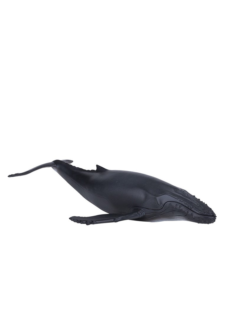 Mojo Humpback Whale -DI