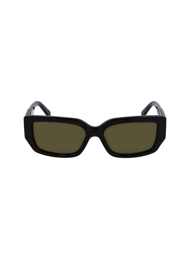 Women Sunglasses L6021S-214-5516 Havana