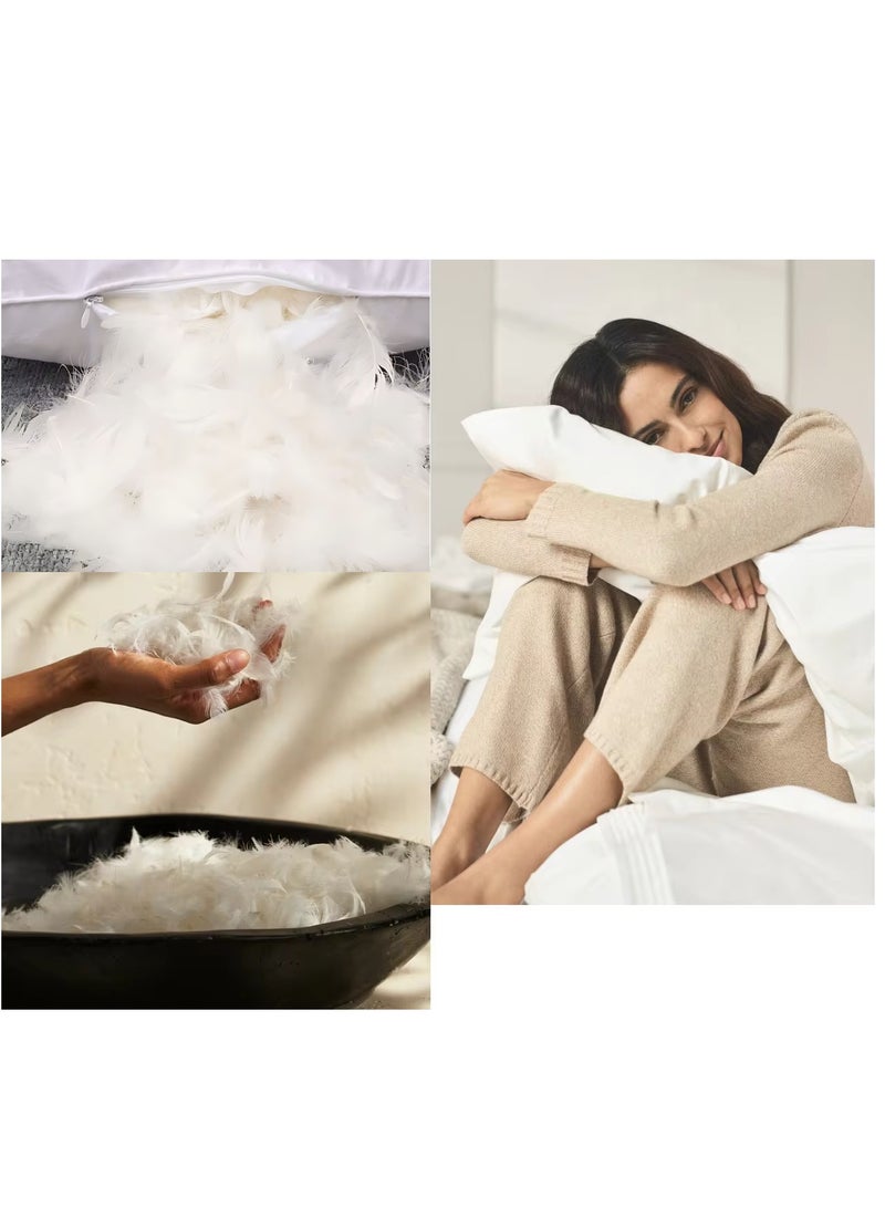 Feather Bed Pillow Luxurious Comfort with Goose Feather and 100% Cotton Fabric, (White, Size 50x70 CM)