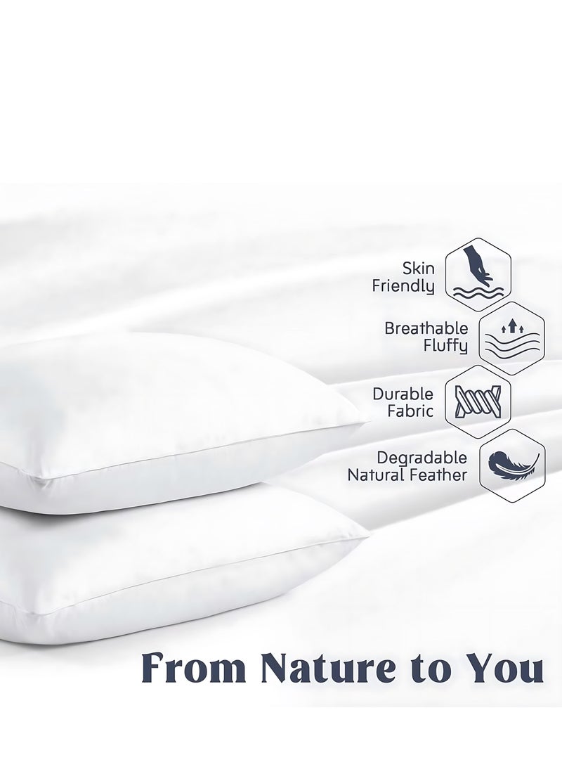 Feather Bed Pillow Luxurious Comfort with Goose Feather and 100% Cotton Fabric, (White, Size 50x70 CM)