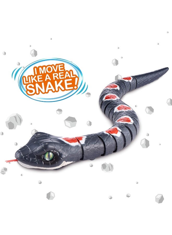 Robo Alive Slithering Snake Series 2 Grey by ZURU Battery-Powered Robotic Light Up Reptile Toy That Moves