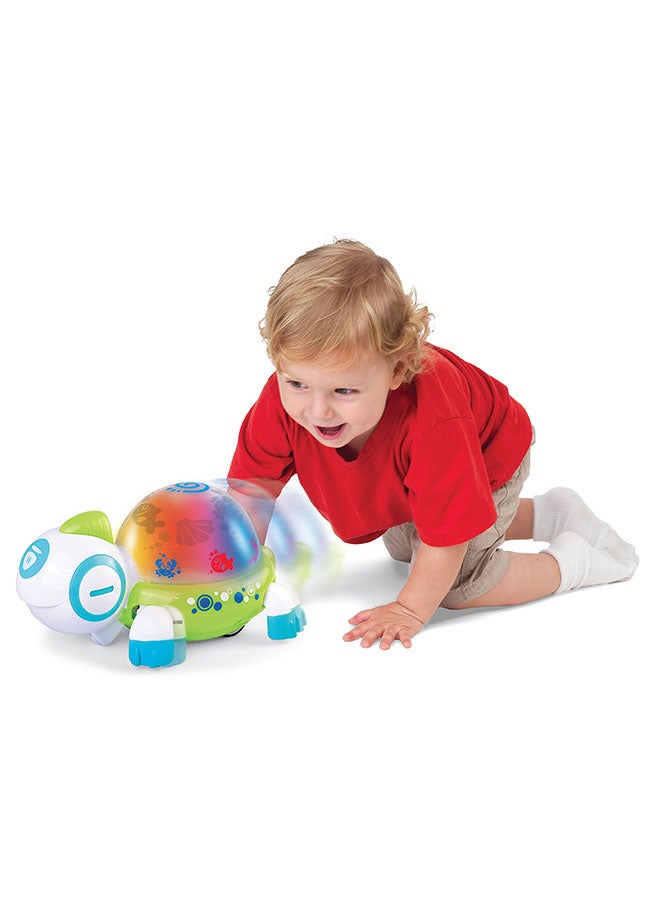 Little Learners Walk N’ Glow Turtle - Interactive Baby Toy