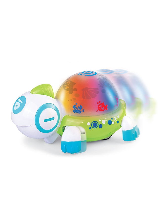 Little Learners Walk N’ Glow Turtle - Interactive Baby Toy