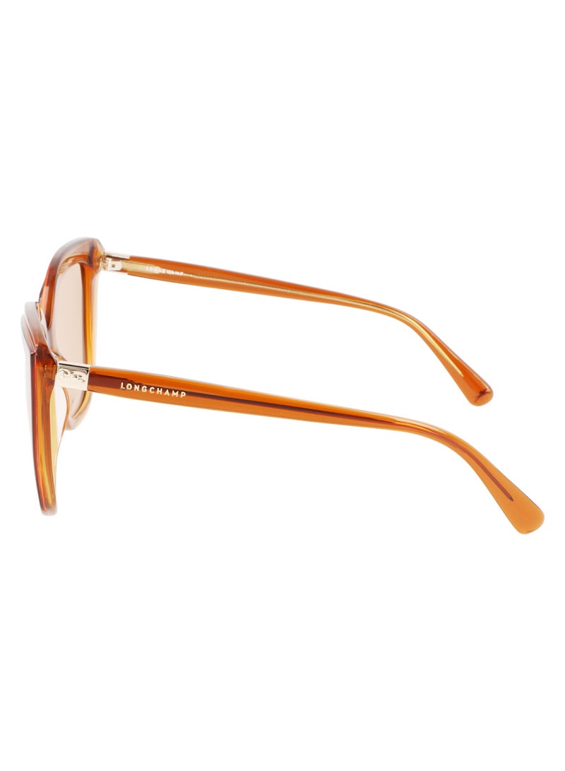 Women's UV Protection Rectangular Shape Acetate Sunglasses LO689S-744-5321 - Lens Size: 53 - Honey/Orange