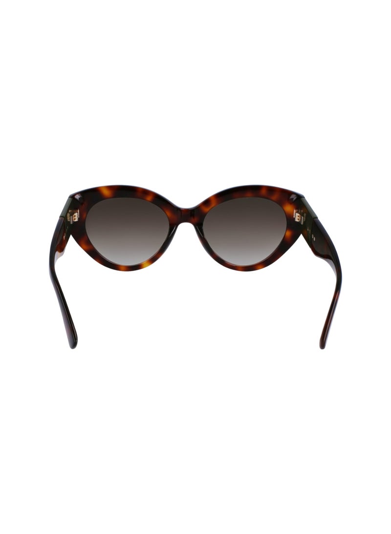 Women's UV Protection Cat Eye Shape Acetate Sunglasses LO722S-230-5420 - Lens Size: 54 - Havana