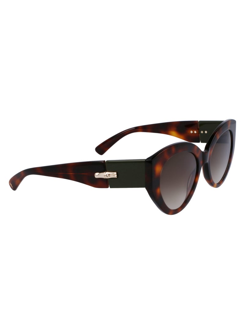 Women's UV Protection Cat Eye Shape Acetate Sunglasses LO722S-230-5420 - Lens Size: 54 - Havana
