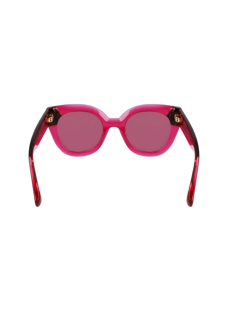 Women's UV Protection Round Shape Acetate Sunglasses LO750S-654-4923 - Lens Size: 49 - Cyclamen/Havana