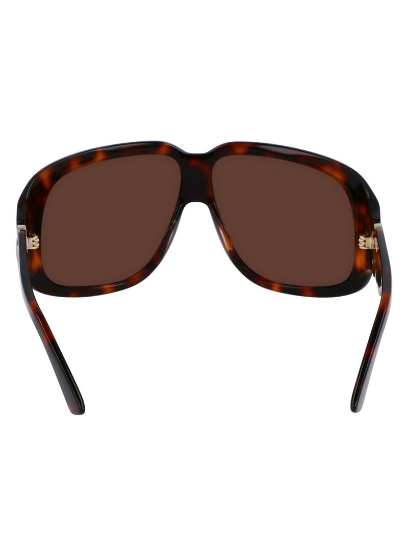 Women's UV Protection Rectangular Shape Acetate Sunglasses LO736S-230-6711 - Lens Size: 67 mm - Light Brown