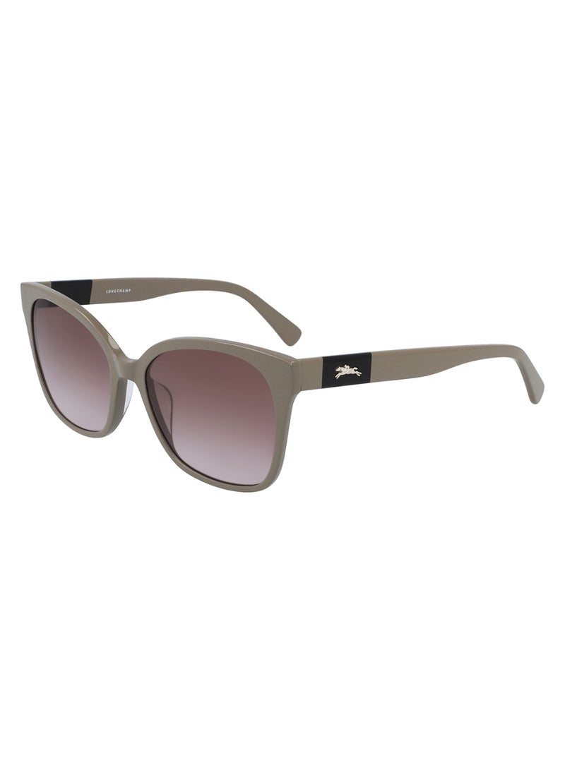 Women's UV Protection Rectangular Shape Acetate Sunglasses LO657S-271-5517 - Lens Size: 55 - Taupe