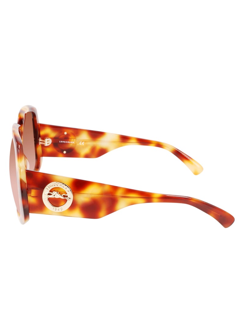 Women's UV Protection Square Shape Acetate Sunglasses LO709S-217-5917 - Lens Size: 59 - Light Havana