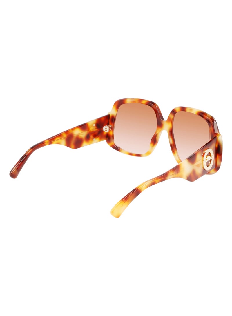 Women's UV Protection Square Shape Acetate Sunglasses LO709S-217-5917 - Lens Size: 59 - Light Havana