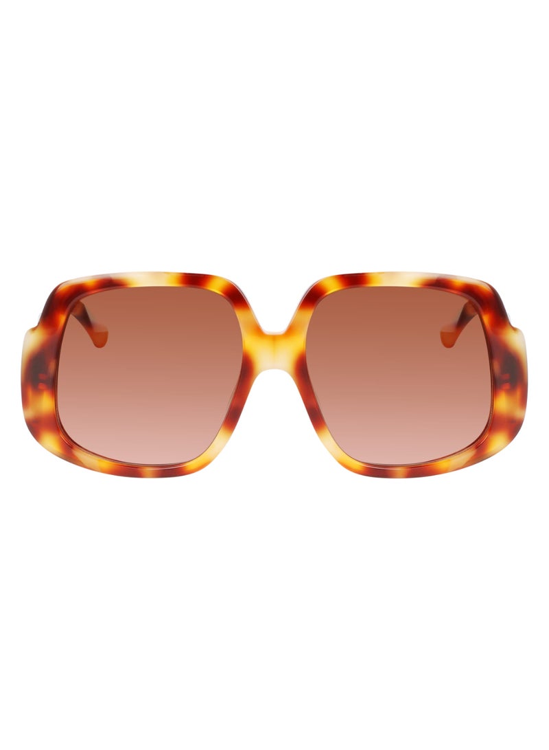 Women's UV Protection Square Shape Acetate Sunglasses LO709S-217-5917 - Lens Size: 59 - Light Havana
